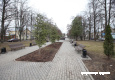 bal_8168.jpg